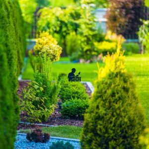 Servicios de jardinería por todo Madrid con Albañil Madrid
