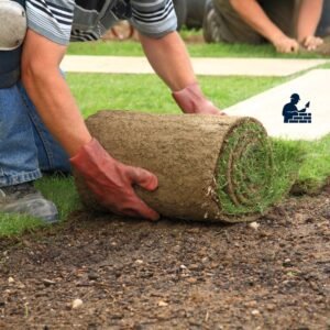 Servicios de jardinería por todo Madrid con Albañil Madrid