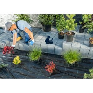Servicios de jardinería por todo Madrid con Albañil Madrid